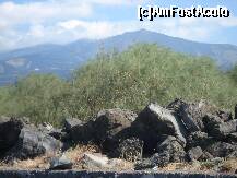 [P04] apoi terenul incepe sa devina mai stancos si mai golas, pe masura ce ne apropiam de varf » foto by a.sr*
 - 
<span class="allrVoted glyphicon glyphicon-heart hidden" id="av268054"></span>
<a class="m-l-10 hidden" id="sv268054" onclick="voting_Foto_DelVot(,268054,3281)" role="button">șterge vot <span class="glyphicon glyphicon-remove"></span></a>
<a id="v9268054" class=" c-red"  onclick="voting_Foto_SetVot(268054)" role="button"><span class="glyphicon glyphicon-heart-empty"></span> <b>LIKE</b> = Votează poza</a> <img class="hidden"  id="f268054W9" src="/imagini/loader.gif" border="0" /><span class="AjErrMes hidden" id="e268054ErM"></span>