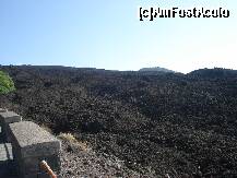 [P08] pamantul arata ca si cum ar fi framantat » foto by a.sr*
 - 
<span class="allrVoted glyphicon glyphicon-heart hidden" id="av268064"></span>
<a class="m-l-10 hidden" id="sv268064" onclick="voting_Foto_DelVot(,268064,3281)" role="button">șterge vot <span class="glyphicon glyphicon-remove"></span></a>
<a id="v9268064" class=" c-red"  onclick="voting_Foto_SetVot(268064)" role="button"><span class="glyphicon glyphicon-heart-empty"></span> <b>LIKE</b> = Votează poza</a> <img class="hidden"  id="f268064W9" src="/imagini/loader.gif" border="0" /><span class="AjErrMes hidden" id="e268064ErM"></span>