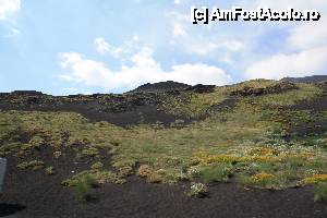 [P03] vegetatia acapareaza in cele din urma si scurgerile de lava mai noi » foto by danieltanase*
 - 
<span class="allrVoted glyphicon glyphicon-heart hidden" id="av468540"></span>
<a class="m-l-10 hidden" id="sv468540" onclick="voting_Foto_DelVot(,468540,3281)" role="button">șterge vot <span class="glyphicon glyphicon-remove"></span></a>
<a id="v9468540" class=" c-red"  onclick="voting_Foto_SetVot(468540)" role="button"><span class="glyphicon glyphicon-heart-empty"></span> <b>LIKE</b> = Votează poza</a> <img class="hidden"  id="f468540W9" src="/imagini/loader.gif" border="0" /><span class="AjErrMes hidden" id="e468540ErM"></span>