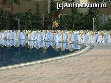 [P01] Masa de seara organizata la piscina cu ocazia unui event ( o data la 2 sapt.) » foto by catalinx
 - 
<span class="allrVoted glyphicon glyphicon-heart hidden" id="av142354"></span>
<a class="m-l-10 hidden" id="sv142354" onclick="voting_Foto_DelVot(,142354,3296)" role="button">șterge vot <span class="glyphicon glyphicon-remove"></span></a>
<a id="v9142354" class=" c-red"  onclick="voting_Foto_SetVot(142354)" role="button"><span class="glyphicon glyphicon-heart-empty"></span> <b>LIKE</b> = Votează poza</a> <img class="hidden"  id="f142354W9" src="/imagini/loader.gif" border="0" /><span class="AjErrMes hidden" id="e142354ErM"></span>
