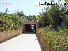 [P05] tunelul care duce la plaja » foto by cathzel
 - 
<span class="allrVoted glyphicon glyphicon-heart hidden" id="av159565"></span>
<a class="m-l-10 hidden" id="sv159565" onclick="voting_Foto_DelVot(,159565,3296)" role="button">șterge vot <span class="glyphicon glyphicon-remove"></span></a>
<a id="v9159565" class=" c-red"  onclick="voting_Foto_SetVot(159565)" role="button"><span class="glyphicon glyphicon-heart-empty"></span> <b>LIKE</b> = Votează poza</a> <img class="hidden"  id="f159565W9" src="/imagini/loader.gif" border="0" /><span class="AjErrMes hidden" id="e159565ErM"></span>