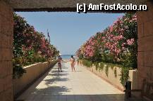 [P02]  -- <small>// FĂRĂ DESCRIERE</small> » foto by chivuta fagetan
 - 
<span class="allrVoted glyphicon glyphicon-heart hidden" id="av307263"></span>
<a class="m-l-10 hidden" id="sv307263" onclick="voting_Foto_DelVot(,307263,3296)" role="button">șterge vot <span class="glyphicon glyphicon-remove"></span></a>
<a id="v9307263" class=" c-red"  onclick="voting_Foto_SetVot(307263)" role="button"><span class="glyphicon glyphicon-heart-empty"></span> <b>LIKE</b> = Votează poza</a> <img class="hidden"  id="f307263W9" src="/imagini/loader.gif" border="0" /><span class="AjErrMes hidden" id="e307263ErM"></span>