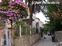 [P03] Strada in orasul nou, zona Gruz » foto by anirok_10
 - 
<span class="allrVoted glyphicon glyphicon-heart hidden" id="av267702"></span>
<a class="m-l-10 hidden" id="sv267702" onclick="voting_Foto_DelVot(,267702,3304)" role="button">șterge vot <span class="glyphicon glyphicon-remove"></span></a>
<a id="v9267702" class=" c-red"  onclick="voting_Foto_SetVot(267702)" role="button"><span class="glyphicon glyphicon-heart-empty"></span> <b>LIKE</b> = Votează poza</a> <img class="hidden"  id="f267702W9" src="/imagini/loader.gif" border="0" /><span class="AjErrMes hidden" id="e267702ErM"></span>