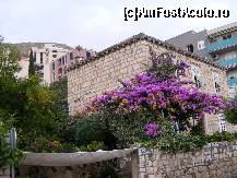 [P06] Case din zona Gruz, bouganvillia, rodii » foto by anirok_10
 - 
<span class="allrVoted glyphicon glyphicon-heart hidden" id="av267705"></span>
<a class="m-l-10 hidden" id="sv267705" onclick="voting_Foto_DelVot(,267705,3304)" role="button">șterge vot <span class="glyphicon glyphicon-remove"></span></a>
<a id="v9267705" class=" c-red"  onclick="voting_Foto_SetVot(267705)" role="button"><span class="glyphicon glyphicon-heart-empty"></span> <b>LIKE</b> = Votează poza</a> <img class="hidden"  id="f267705W9" src="/imagini/loader.gif" border="0" /><span class="AjErrMes hidden" id="e267705ErM"></span>
