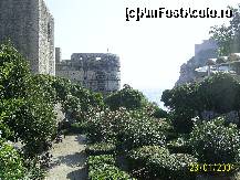 [P16] vedere din afara zidurilor cetatii » foto by petrus95
 - 
<span class="allrVoted glyphicon glyphicon-heart hidden" id="av125547"></span>
<a class="m-l-10 hidden" id="sv125547" onclick="voting_Foto_DelVot(,125547,3304)" role="button">șterge vot <span class="glyphicon glyphicon-remove"></span></a>
<a id="v9125547" class=" c-red"  onclick="voting_Foto_SetVot(125547)" role="button"><span class="glyphicon glyphicon-heart-empty"></span> <b>LIKE</b> = Votează poza</a> <img class="hidden"  id="f125547W9" src="/imagini/loader.gif" border="0" /><span class="AjErrMes hidden" id="e125547ErM"></span>