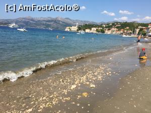 [P01] plaja dubrovnik » foto by Luy
 - 
<span class="allrVoted glyphicon glyphicon-heart hidden" id="av1105167"></span>
<a class="m-l-10 hidden" id="sv1105167" onclick="voting_Foto_DelVot(,1105167,3304)" role="button">șterge vot <span class="glyphicon glyphicon-remove"></span></a>
<a id="v91105167" class=" c-red"  onclick="voting_Foto_SetVot(1105167)" role="button"><span class="glyphicon glyphicon-heart-empty"></span> <b>LIKE</b> = Votează poza</a> <img class="hidden"  id="f1105167W9" src="/imagini/loader.gif" border="0" /><span class="AjErrMes hidden" id="e1105167ErM"></span>