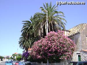 [P20] Dubrovnik - imagine din oras » foto by costy69*
 - 
<span class="allrVoted glyphicon glyphicon-heart hidden" id="av572842"></span>
<a class="m-l-10 hidden" id="sv572842" onclick="voting_Foto_DelVot(,572842,3304)" role="button">șterge vot <span class="glyphicon glyphicon-remove"></span></a>
<a id="v9572842" class=" c-red"  onclick="voting_Foto_SetVot(572842)" role="button"><span class="glyphicon glyphicon-heart-empty"></span> <b>LIKE</b> = Votează poza</a> <img class="hidden"  id="f572842W9" src="/imagini/loader.gif" border="0" /><span class="AjErrMes hidden" id="e572842ErM"></span>