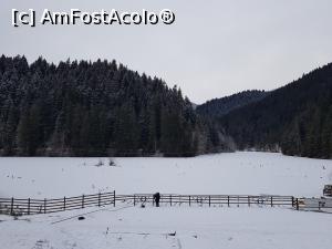 [P04] Am ajuns lângă Lacul Roșu. » foto by Floryn81
 - 
<span class="allrVoted glyphicon glyphicon-heart hidden" id="av1214391"></span>
<a class="m-l-10 hidden" id="sv1214391" onclick="voting_Foto_DelVot(,1214391,3314)" role="button">șterge vot <span class="glyphicon glyphicon-remove"></span></a>
<a id="v91214391" class=" c-red"  onclick="voting_Foto_SetVot(1214391)" role="button"><span class="glyphicon glyphicon-heart-empty"></span> <b>LIKE</b> = Votează poza</a> <img class="hidden"  id="f1214391W9" src="/imagini/loader.gif" border="0" /><span class="AjErrMes hidden" id="e1214391ErM"></span>