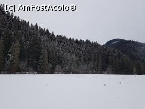 [P07] Lacul Roșu la începutul lunii ianuarie. » foto by Floryn81
 - 
<span class="allrVoted glyphicon glyphicon-heart hidden" id="av1214394"></span>
<a class="m-l-10 hidden" id="sv1214394" onclick="voting_Foto_DelVot(,1214394,3314)" role="button">șterge vot <span class="glyphicon glyphicon-remove"></span></a>
<a id="v91214394" class=" c-red"  onclick="voting_Foto_SetVot(1214394)" role="button"><span class="glyphicon glyphicon-heart-empty"></span> <b>LIKE</b> = Votează poza</a> <img class="hidden"  id="f1214394W9" src="/imagini/loader.gif" border="0" /><span class="AjErrMes hidden" id="e1214394ErM"></span>