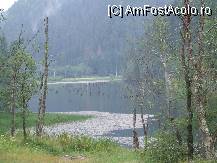 [P04] Lacul Rosu - farmecul naturii » foto by danoradea
 - 
<span class="allrVoted glyphicon glyphicon-heart hidden" id="av34335"></span>
<a class="m-l-10 hidden" id="sv34335" onclick="voting_Foto_DelVot(,34335,3314)" role="button">șterge vot <span class="glyphicon glyphicon-remove"></span></a>
<a id="v934335" class=" c-red"  onclick="voting_Foto_SetVot(34335)" role="button"><span class="glyphicon glyphicon-heart-empty"></span> <b>LIKE</b> = Votează poza</a> <img class="hidden"  id="f34335W9" src="/imagini/loader.gif" border="0" /><span class="AjErrMes hidden" id="e34335ErM"></span>