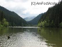 [P4x]  -- <small>// FĂRĂ DESCRIERE</small> » foto by lizuk
 - 
<span class="allrVoted glyphicon glyphicon-heart hidden" id="av34533"></span>
<a class="m-l-10 hidden" id="sv34533" onclick="voting_Foto_DelVot(,34533,3314)" role="button">șterge vot <span class="glyphicon glyphicon-remove"></span></a>
<a id="v934533" class=" c-red"  onclick="voting_Foto_SetVot(34533)" role="button"><span class="glyphicon glyphicon-heart-empty"></span> <b>LIKE</b> = Votează poza</a> <img class="hidden"  id="f34533W9" src="/imagini/loader.gif" border="0" /><span class="AjErrMes hidden" id="e34533ErM"></span>
