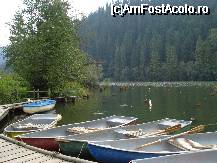 [P32] Lacul Rosu cu barcile care-si asteapta turistii la o plimbare pe lac (in fundal se vad trunchiurile de copaci) » foto by ileanaxperta*
 - 
<span class="allrVoted glyphicon glyphicon-heart hidden" id="av26798"></span>
<a class="m-l-10 hidden" id="sv26798" onclick="voting_Foto_DelVot(,26798,3314)" role="button">șterge vot <span class="glyphicon glyphicon-remove"></span></a>
<a id="v926798" class=" c-red"  onclick="voting_Foto_SetVot(26798)" role="button"><span class="glyphicon glyphicon-heart-empty"></span> <b>LIKE</b> = Votează poza</a> <img class="hidden"  id="f26798W9" src="/imagini/loader.gif" border="0" /><span class="AjErrMes hidden" id="e26798ErM"></span>