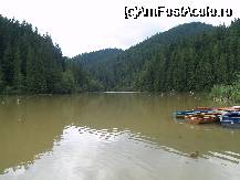 [P08] Lacul Rosu » foto by pepsi70ro
 - 
<span class="allrVoted glyphicon glyphicon-heart hidden" id="av30994"></span>
<a class="m-l-10 hidden" id="sv30994" onclick="voting_Foto_DelVot(,30994,3314)" role="button">șterge vot <span class="glyphicon glyphicon-remove"></span></a>
<a id="v930994" class=" c-red"  onclick="voting_Foto_SetVot(30994)" role="button"><span class="glyphicon glyphicon-heart-empty"></span> <b>LIKE</b> = Votează poza</a> <img class="hidden"  id="f30994W9" src="/imagini/loader.gif" border="0" /><span class="AjErrMes hidden" id="e30994ErM"></span>