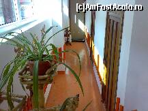 [P09] pensiunea Casa Nostra - hol in interiorul claririi noi » foto by essib*
 - 
<span class="allrVoted glyphicon glyphicon-heart hidden" id="av291677"></span>
<a class="m-l-10 hidden" id="sv291677" onclick="voting_Foto_DelVot(,291677,3317)" role="button">șterge vot <span class="glyphicon glyphicon-remove"></span></a>
<a id="v9291677" class=" c-red"  onclick="voting_Foto_SetVot(291677)" role="button"><span class="glyphicon glyphicon-heart-empty"></span> <b>LIKE</b> = Votează poza</a> <img class="hidden"  id="f291677W9" src="/imagini/loader.gif" border="0" /><span class="AjErrMes hidden" id="e291677ErM"></span>