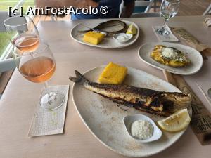 [P23] Daruri de mare și de pământ » foto by crismis
 - 
<span class="allrVoted glyphicon glyphicon-heart hidden" id="av1537933"></span>
<a class="m-l-10 hidden" id="sv1537933" onclick="voting_Foto_DelVot(,1537933,3329)" role="button">șterge vot <span class="glyphicon glyphicon-remove"></span></a>
<a id="v91537933" class=" c-red"  onclick="voting_Foto_SetVot(1537933)" role="button"><span class="glyphicon glyphicon-heart-empty"></span> <b>LIKE</b> = Votează poza</a> <img class="hidden"  id="f1537933W9" src="/imagini/loader.gif" border="0" /><span class="AjErrMes hidden" id="e1537933ErM"></span>
