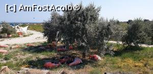 [P06] Aici, am surprins câteva persoane dormind la umbră pe respectivele pernuțe. » foto by Mihnea-Alexandru
 - 
<span class="allrVoted glyphicon glyphicon-heart hidden" id="av1243220"></span>
<a class="m-l-10 hidden" id="sv1243220" onclick="voting_Foto_DelVot(,1243220,3329)" role="button">șterge vot <span class="glyphicon glyphicon-remove"></span></a>
<a id="v91243220" class=" c-red"  onclick="voting_Foto_SetVot(1243220)" role="button"><span class="glyphicon glyphicon-heart-empty"></span> <b>LIKE</b> = Votează poza</a> <img class="hidden"  id="f1243220W9" src="/imagini/loader.gif" border="0" /><span class="AjErrMes hidden" id="e1243220ErM"></span>