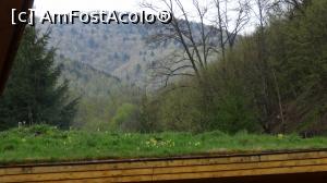 [P35] Vă las să visați » foto by bog68
 - 
<span class="allrVoted glyphicon glyphicon-heart hidden" id="av831944"></span>
<a class="m-l-10 hidden" id="sv831944" onclick="voting_Foto_DelVot(,831944,3339)" role="button">șterge vot <span class="glyphicon glyphicon-remove"></span></a>
<a id="v9831944" class=" c-red"  onclick="voting_Foto_SetVot(831944)" role="button"><span class="glyphicon glyphicon-heart-empty"></span> <b>LIKE</b> = Votează poza</a> <img class="hidden"  id="f831944W9" src="/imagini/loader.gif" border="0" /><span class="AjErrMes hidden" id="e831944ErM"></span>