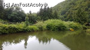 [P04]  -- <small>// FĂRĂ DESCRIERE</small> » foto by alexandruduma
 - 
<span class="allrVoted glyphicon glyphicon-heart hidden" id="av780934"></span>
<a class="m-l-10 hidden" id="sv780934" onclick="voting_Foto_DelVot(,780934,3339)" role="button">șterge vot <span class="glyphicon glyphicon-remove"></span></a>
<a id="v9780934" class=" c-red"  onclick="voting_Foto_SetVot(780934)" role="button"><span class="glyphicon glyphicon-heart-empty"></span> <b>LIKE</b> = Votează poza</a> <img class="hidden"  id="f780934W9" src="/imagini/loader.gif" border="0" /><span class="AjErrMes hidden" id="e780934ErM"></span>