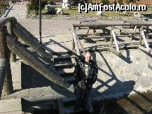 [P03] Podul din fata cabanei Plaiul Foii » foto by yuly68*
 - 
<span class="allrVoted glyphicon glyphicon-heart hidden" id="av385689"></span>
<a class="m-l-10 hidden" id="sv385689" onclick="voting_Foto_DelVot(,385689,3360)" role="button">șterge vot <span class="glyphicon glyphicon-remove"></span></a>
<a id="v9385689" class=" c-red"  onclick="voting_Foto_SetVot(385689)" role="button"><span class="glyphicon glyphicon-heart-empty"></span> <b>LIKE</b> = Votează poza</a> <img class="hidden"  id="f385689W9" src="/imagini/loader.gif" border="0" /><span class="AjErrMes hidden" id="e385689ErM"></span>