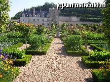 [P12] Castelul Villandry - o încântare să te poți plimba pe aleile grădinii de legume.  » foto by doina_c24
 - 
<span class="allrVoted glyphicon glyphicon-heart hidden" id="av419756"></span>
<a class="m-l-10 hidden" id="sv419756" onclick="voting_Foto_DelVot(,419756,3364)" role="button">șterge vot <span class="glyphicon glyphicon-remove"></span></a>
<a id="v9419756" class=" c-red"  onclick="voting_Foto_SetVot(419756)" role="button"><span class="glyphicon glyphicon-heart-empty"></span> <b>LIKE</b> = Votează poza</a> <img class="hidden"  id="f419756W9" src="/imagini/loader.gif" border="0" /><span class="AjErrMes hidden" id="e419756ErM"></span>