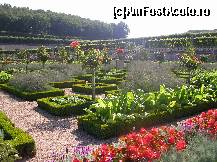 [P13] Castelul Villandry - grădina de legume.  » foto by doina_c24
 - 
<span class="allrVoted glyphicon glyphicon-heart hidden" id="av419757"></span>
<a class="m-l-10 hidden" id="sv419757" onclick="voting_Foto_DelVot(,419757,3364)" role="button">șterge vot <span class="glyphicon glyphicon-remove"></span></a>
<a id="v9419757" class=" c-red"  onclick="voting_Foto_SetVot(419757)" role="button"><span class="glyphicon glyphicon-heart-empty"></span> <b>LIKE</b> = Votează poza</a> <img class="hidden"  id="f419757W9" src="/imagini/loader.gif" border="0" /><span class="AjErrMes hidden" id="e419757ErM"></span>