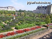 [P14] Castelul Villandry - grădina de legume - un rezultat spectaculos dat de combinația de flori și legume.  » foto by doina_c24
 - 
<span class="allrVoted glyphicon glyphicon-heart hidden" id="av419758"></span>
<a class="m-l-10 hidden" id="sv419758" onclick="voting_Foto_DelVot(,419758,3364)" role="button">șterge vot <span class="glyphicon glyphicon-remove"></span></a>
<a id="v9419758" class=" c-red"  onclick="voting_Foto_SetVot(419758)" role="button"><span class="glyphicon glyphicon-heart-empty"></span> <b>LIKE</b> = Votează poza</a> <img class="hidden"  id="f419758W9" src="/imagini/loader.gif" border="0" /><span class="AjErrMes hidden" id="e419758ErM"></span>