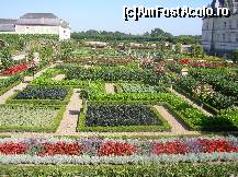 [P16] Castelul Villandry - grădina de legume - un rezultat spectaculos dat de combinația de flori și legume.  » foto by doina_c24
 - 
<span class="allrVoted glyphicon glyphicon-heart hidden" id="av419760"></span>
<a class="m-l-10 hidden" id="sv419760" onclick="voting_Foto_DelVot(,419760,3364)" role="button">șterge vot <span class="glyphicon glyphicon-remove"></span></a>
<a id="v9419760" class=" c-red"  onclick="voting_Foto_SetVot(419760)" role="button"><span class="glyphicon glyphicon-heart-empty"></span> <b>LIKE</b> = Votează poza</a> <img class="hidden"  id="f419760W9" src="/imagini/loader.gif" border="0" /><span class="AjErrMes hidden" id="e419760ErM"></span>
