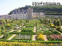 [P19] Castelul Villandry - grădina de legume - un rezultat spectaculos dat de combinația de flori și legume.  » foto by doina_c24
 - 
<span class="allrVoted glyphicon glyphicon-heart hidden" id="av419763"></span>
<a class="m-l-10 hidden" id="sv419763" onclick="voting_Foto_DelVot(,419763,3364)" role="button">șterge vot <span class="glyphicon glyphicon-remove"></span></a>
<a id="v9419763" class=" c-red"  onclick="voting_Foto_SetVot(419763)" role="button"><span class="glyphicon glyphicon-heart-empty"></span> <b>LIKE</b> = Votează poza</a> <img class="hidden"  id="f419763W9" src="/imagini/loader.gif" border="0" /><span class="AjErrMes hidden" id="e419763ErM"></span>