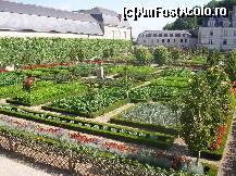 [P20] Castelul Villandry - grădina de legume - un rezultat spectaculos dat de combinația de flori și legume.  » foto by doina_c24
 - 
<span class="allrVoted glyphicon glyphicon-heart hidden" id="av419764"></span>
<a class="m-l-10 hidden" id="sv419764" onclick="voting_Foto_DelVot(,419764,3364)" role="button">șterge vot <span class="glyphicon glyphicon-remove"></span></a>
<a id="v9419764" class=" c-red"  onclick="voting_Foto_SetVot(419764)" role="button"><span class="glyphicon glyphicon-heart-empty"></span> <b>LIKE</b> = Votează poza</a> <img class="hidden"  id="f419764W9" src="/imagini/loader.gif" border="0" /><span class="AjErrMes hidden" id="e419764ErM"></span>