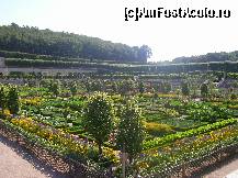 [P21] Castelul Villandry - grădina de legume - un rezultat spectaculos dat de combinația de flori și legume.  » foto by doina_c24
 - 
<span class="allrVoted glyphicon glyphicon-heart hidden" id="av419765"></span>
<a class="m-l-10 hidden" id="sv419765" onclick="voting_Foto_DelVot(,419765,3364)" role="button">șterge vot <span class="glyphicon glyphicon-remove"></span></a>
<a id="v9419765" class=" c-red"  onclick="voting_Foto_SetVot(419765)" role="button"><span class="glyphicon glyphicon-heart-empty"></span> <b>LIKE</b> = Votează poza</a> <img class="hidden"  id="f419765W9" src="/imagini/loader.gif" border="0" /><span class="AjErrMes hidden" id="e419765ErM"></span>