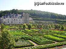 [P22] Castelul Villandry - grădina de legume - un rezultat spectaculos dat de combinația de flori și legume.  » foto by doina_c24
 - 
<span class="allrVoted glyphicon glyphicon-heart hidden" id="av419766"></span>
<a class="m-l-10 hidden" id="sv419766" onclick="voting_Foto_DelVot(,419766,3364)" role="button">șterge vot <span class="glyphicon glyphicon-remove"></span></a>
<a id="v9419766" class=" c-red"  onclick="voting_Foto_SetVot(419766)" role="button"><span class="glyphicon glyphicon-heart-empty"></span> <b>LIKE</b> = Votează poza</a> <img class="hidden"  id="f419766W9" src="/imagini/loader.gif" border="0" /><span class="AjErrMes hidden" id="e419766ErM"></span>