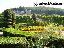 [P35] Castelul Villandry - grădina muzicii.  » foto by doina_c24
 - 
<span class="allrVoted glyphicon glyphicon-heart hidden" id="av419779"></span>
<a class="m-l-10 hidden" id="sv419779" onclick="voting_Foto_DelVot(,419779,3364)" role="button">șterge vot <span class="glyphicon glyphicon-remove"></span></a>
<a id="v9419779" class=" c-red"  onclick="voting_Foto_SetVot(419779)" role="button"><span class="glyphicon glyphicon-heart-empty"></span> <b>LIKE</b> = Votează poza</a> <img class="hidden"  id="f419779W9" src="/imagini/loader.gif" border="0" /><span class="AjErrMes hidden" id="e419779ErM"></span>