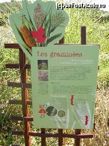[P36] Castelul Villandry - din loc în loc panouri informative despre plantele cultivate.  » foto by doina_c24
 - 
<span class="allrVoted glyphicon glyphicon-heart hidden" id="av419780"></span>
<a class="m-l-10 hidden" id="sv419780" onclick="voting_Foto_DelVot(,419780,3364)" role="button">șterge vot <span class="glyphicon glyphicon-remove"></span></a>
<a id="v9419780" class=" c-red"  onclick="voting_Foto_SetVot(419780)" role="button"><span class="glyphicon glyphicon-heart-empty"></span> <b>LIKE</b> = Votează poza</a> <img class="hidden"  id="f419780W9" src="/imagini/loader.gif" border="0" /><span class="AjErrMes hidden" id="e419780ErM"></span>