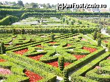 [P47] Castelul Villandry - grădina ornamentală ce are în prim plan ”crucea de Malta” realizată din arbuști.  » foto by doina_c24
 - 
<span class="allrVoted glyphicon glyphicon-heart hidden" id="av419791"></span>
<a class="m-l-10 hidden" id="sv419791" onclick="voting_Foto_DelVot(,419791,3364)" role="button">șterge vot <span class="glyphicon glyphicon-remove"></span></a>
<a id="v9419791" class=" c-red"  onclick="voting_Foto_SetVot(419791)" role="button"><span class="glyphicon glyphicon-heart-empty"></span> <b>LIKE</b> = Votează poza</a> <img class="hidden"  id="f419791W9" src="/imagini/loader.gif" border="0" /><span class="AjErrMes hidden" id="e419791ErM"></span>