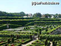 [P48] Castelul Villandry - să tot privești aceste grădini.  » foto by doina_c24
 - 
<span class="allrVoted glyphicon glyphicon-heart hidden" id="av419792"></span>
<a class="m-l-10 hidden" id="sv419792" onclick="voting_Foto_DelVot(,419792,3364)" role="button">șterge vot <span class="glyphicon glyphicon-remove"></span></a>
<a id="v9419792" class=" c-red"  onclick="voting_Foto_SetVot(419792)" role="button"><span class="glyphicon glyphicon-heart-empty"></span> <b>LIKE</b> = Votează poza</a> <img class="hidden"  id="f419792W9" src="/imagini/loader.gif" border="0" /><span class="AjErrMes hidden" id="e419792ErM"></span>