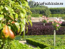 [P05] Castelul Villandry - numai bune de cules.  » foto by doina_c24
 - 
<span class="allrVoted glyphicon glyphicon-heart hidden" id="av419749"></span>
<a class="m-l-10 hidden" id="sv419749" onclick="voting_Foto_DelVot(,419749,3364)" role="button">șterge vot <span class="glyphicon glyphicon-remove"></span></a>
<a id="v9419749" class=" c-red"  onclick="voting_Foto_SetVot(419749)" role="button"><span class="glyphicon glyphicon-heart-empty"></span> <b>LIKE</b> = Votează poza</a> <img class="hidden"  id="f419749W9" src="/imagini/loader.gif" border="0" /><span class="AjErrMes hidden" id="e419749ErM"></span>