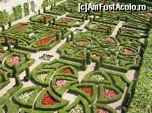 [P55] Castelul Villandry - grădina dragostei.  » foto by doina_c24
 - 
<span class="allrVoted glyphicon glyphicon-heart hidden" id="av419799"></span>
<a class="m-l-10 hidden" id="sv419799" onclick="voting_Foto_DelVot(,419799,3364)" role="button">șterge vot <span class="glyphicon glyphicon-remove"></span></a>
<a id="v9419799" class=" c-red"  onclick="voting_Foto_SetVot(419799)" role="button"><span class="glyphicon glyphicon-heart-empty"></span> <b>LIKE</b> = Votează poza</a> <img class="hidden"  id="f419799W9" src="/imagini/loader.gif" border="0" /><span class="AjErrMes hidden" id="e419799ErM"></span>
