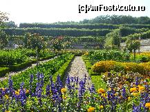 [P06] Castelul Villandry - legume și flori într-o armonie desăvârșită.  » foto by doina_c24
 - 
<span class="allrVoted glyphicon glyphicon-heart hidden" id="av419750"></span>
<a class="m-l-10 hidden" id="sv419750" onclick="voting_Foto_DelVot(,419750,3364)" role="button">șterge vot <span class="glyphicon glyphicon-remove"></span></a>
<a id="v9419750" class=" c-red"  onclick="voting_Foto_SetVot(419750)" role="button"><span class="glyphicon glyphicon-heart-empty"></span> <b>LIKE</b> = Votează poza</a> <img class="hidden"  id="f419750W9" src="/imagini/loader.gif" border="0" /><span class="AjErrMes hidden" id="e419750ErM"></span>