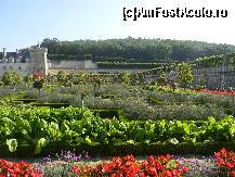 [P07] Castelul Villandry - grădina de legume ce își are originea în Evul Mediu.  » foto by doina_c24
 - 
<span class="allrVoted glyphicon glyphicon-heart hidden" id="av419751"></span>
<a class="m-l-10 hidden" id="sv419751" onclick="voting_Foto_DelVot(,419751,3364)" role="button">șterge vot <span class="glyphicon glyphicon-remove"></span></a>
<a id="v9419751" class=" c-red"  onclick="voting_Foto_SetVot(419751)" role="button"><span class="glyphicon glyphicon-heart-empty"></span> <b>LIKE</b> = Votează poza</a> <img class="hidden"  id="f419751W9" src="/imagini/loader.gif" border="0" /><span class="AjErrMes hidden" id="e419751ErM"></span>