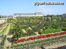 [P09] Castelul Villandry - grădina de legume.  » foto by doina_c24
 - 
<span class="allrVoted glyphicon glyphicon-heart hidden" id="av419753"></span>
<a class="m-l-10 hidden" id="sv419753" onclick="voting_Foto_DelVot(,419753,3364)" role="button">șterge vot <span class="glyphicon glyphicon-remove"></span></a>
<a id="v9419753" class=" c-red"  onclick="voting_Foto_SetVot(419753)" role="button"><span class="glyphicon glyphicon-heart-empty"></span> <b>LIKE</b> = Votează poza</a> <img class="hidden"  id="f419753W9" src="/imagini/loader.gif" border="0" /><span class="AjErrMes hidden" id="e419753ErM"></span>