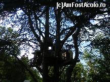 [P43] Castelul Langeais - Casa din copac.  » foto by doina_c24
 - 
<span class="allrVoted glyphicon glyphicon-heart hidden" id="av420283"></span>
<a class="m-l-10 hidden" id="sv420283" onclick="voting_Foto_DelVot(,420283,3364)" role="button">șterge vot <span class="glyphicon glyphicon-remove"></span></a>
<a id="v9420283" class=" c-red"  onclick="voting_Foto_SetVot(420283)" role="button"><span class="glyphicon glyphicon-heart-empty"></span> <b>LIKE</b> = Votează poza</a> <img class="hidden"  id="f420283W9" src="/imagini/loader.gif" border="0" /><span class="AjErrMes hidden" id="e420283ErM"></span>