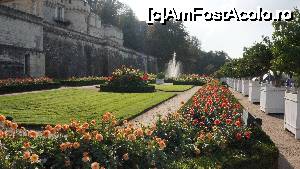 [P47] Imagine din gradina.  » foto by ania
 - 
<span class="allrVoted glyphicon glyphicon-heart hidden" id="av683840"></span>
<a class="m-l-10 hidden" id="sv683840" onclick="voting_Foto_DelVot(,683840,3364)" role="button">șterge vot <span class="glyphicon glyphicon-remove"></span></a>
<a id="v9683840" class=" c-red"  onclick="voting_Foto_SetVot(683840)" role="button"><span class="glyphicon glyphicon-heart-empty"></span> <b>LIKE</b> = Votează poza</a> <img class="hidden"  id="f683840W9" src="/imagini/loader.gif" border="0" /><span class="AjErrMes hidden" id="e683840ErM"></span>
