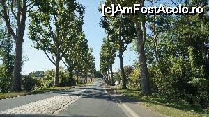 [P50] Si am pornit spre Chinon, pe un drum frumos si liber.  » foto by ania
 - 
<span class="allrVoted glyphicon glyphicon-heart hidden" id="av693941"></span>
<a class="m-l-10 hidden" id="sv693941" onclick="voting_Foto_DelVot(,693941,3364)" role="button">șterge vot <span class="glyphicon glyphicon-remove"></span></a>
<a id="v9693941" class=" c-red"  onclick="voting_Foto_SetVot(693941)" role="button"><span class="glyphicon glyphicon-heart-empty"></span> <b>LIKE</b> = Votează poza</a> <img class="hidden"  id="f693941W9" src="/imagini/loader.gif" border="0" /><span class="AjErrMes hidden" id="e693941ErM"></span>