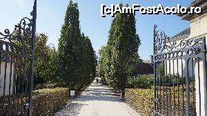 [P08] Poarta de la intrarea in castel, o frumoasa alee cu copaci la capatul careia se vede putin si castelul.  » foto by ania
 - 
<span class="allrVoted glyphicon glyphicon-heart hidden" id="av693890"></span>
<a class="m-l-10 hidden" id="sv693890" onclick="voting_Foto_DelVot(,693890,3364)" role="button">șterge vot <span class="glyphicon glyphicon-remove"></span></a>
<a id="v9693890" class=" c-red"  onclick="voting_Foto_SetVot(693890)" role="button"><span class="glyphicon glyphicon-heart-empty"></span> <b>LIKE</b> = Votează poza</a> <img class="hidden"  id="f693890W9" src="/imagini/loader.gif" border="0" /><span class="AjErrMes hidden" id="e693890ErM"></span>