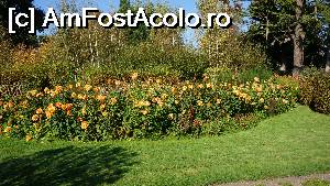 [P42] Flori in Gradina Ucenicilor.  » foto by ania
 - 
<span class="allrVoted glyphicon glyphicon-heart hidden" id="av711045"></span>
<a class="m-l-10 hidden" id="sv711045" onclick="voting_Foto_DelVot(,711045,3364)" role="button">șterge vot <span class="glyphicon glyphicon-remove"></span></a>
<a id="v9711045" class=" c-red"  onclick="voting_Foto_SetVot(711045)" role="button"><span class="glyphicon glyphicon-heart-empty"></span> <b>LIKE</b> = Votează poza</a> <img class="hidden"  id="f711045W9" src="/imagini/loader.gif" border="0" /><span class="AjErrMes hidden" id="e711045ErM"></span>