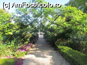 [P43] Pergola din Gradina Ucenicilor.  » foto by ania
 - 
<span class="allrVoted glyphicon glyphicon-heart hidden" id="av711046"></span>
<a class="m-l-10 hidden" id="sv711046" onclick="voting_Foto_DelVot(,711046,3364)" role="button">șterge vot <span class="glyphicon glyphicon-remove"></span></a>
<a id="v9711046" class=" c-red"  onclick="voting_Foto_SetVot(711046)" role="button"><span class="glyphicon glyphicon-heart-empty"></span> <b>LIKE</b> = Votează poza</a> <img class="hidden"  id="f711046W9" src="/imagini/loader.gif" border="0" /><span class="AjErrMes hidden" id="e711046ErM"></span>