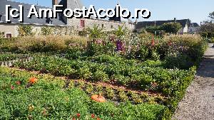 [P52] In Gradina de Legume. » foto by ania
 - 
<span class="allrVoted glyphicon glyphicon-heart hidden" id="av711057"></span>
<a class="m-l-10 hidden" id="sv711057" onclick="voting_Foto_DelVot(,711057,3364)" role="button">șterge vot <span class="glyphicon glyphicon-remove"></span></a>
<a id="v9711057" class=" c-red"  onclick="voting_Foto_SetVot(711057)" role="button"><span class="glyphicon glyphicon-heart-empty"></span> <b>LIKE</b> = Votează poza</a> <img class="hidden"  id="f711057W9" src="/imagini/loader.gif" border="0" /><span class="AjErrMes hidden" id="e711057ErM"></span>