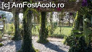 [P53] Pergola din Gradina de Legume. » foto by ania
 - 
<span class="allrVoted glyphicon glyphicon-heart hidden" id="av711058"></span>
<a class="m-l-10 hidden" id="sv711058" onclick="voting_Foto_DelVot(,711058,3364)" role="button">șterge vot <span class="glyphicon glyphicon-remove"></span></a>
<a id="v9711058" class=" c-red"  onclick="voting_Foto_SetVot(711058)" role="button"><span class="glyphicon glyphicon-heart-empty"></span> <b>LIKE</b> = Votează poza</a> <img class="hidden"  id="f711058W9" src="/imagini/loader.gif" border="0" /><span class="AjErrMes hidden" id="e711058ErM"></span>