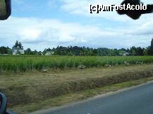 [P23] Franta - Valea Loirei » foto by Diaura*
 - 
<span class="allrVoted glyphicon glyphicon-heart hidden" id="av208888"></span>
<a class="m-l-10 hidden" id="sv208888" onclick="voting_Foto_DelVot(,208888,3364)" role="button">șterge vot <span class="glyphicon glyphicon-remove"></span></a>
<a id="v9208888" class=" c-red"  onclick="voting_Foto_SetVot(208888)" role="button"><span class="glyphicon glyphicon-heart-empty"></span> <b>LIKE</b> = Votează poza</a> <img class="hidden"  id="f208888W9" src="/imagini/loader.gif" border="0" /><span class="AjErrMes hidden" id="e208888ErM"></span>