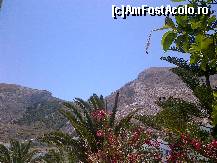 [P01] vedere din balcon » foto by CameliaDZ
 - 
<span class="allrVoted glyphicon glyphicon-heart hidden" id="av330682"></span>
<a class="m-l-10 hidden" id="sv330682" onclick="voting_Foto_DelVot(,330682,3378)" role="button">șterge vot <span class="glyphicon glyphicon-remove"></span></a>
<a id="v9330682" class=" c-red"  onclick="voting_Foto_SetVot(330682)" role="button"><span class="glyphicon glyphicon-heart-empty"></span> <b>LIKE</b> = Votează poza</a> <img class="hidden"  id="f330682W9" src="/imagini/loader.gif" border="0" /><span class="AjErrMes hidden" id="e330682ErM"></span>